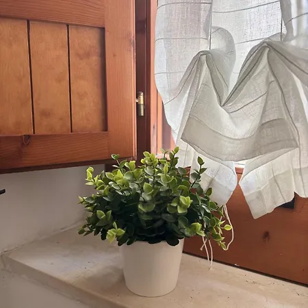 Sanvitoventi Appartement