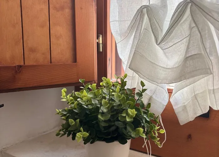 Sanvitoventi Apartamento